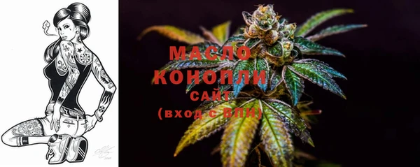 тгк Зеленодольск