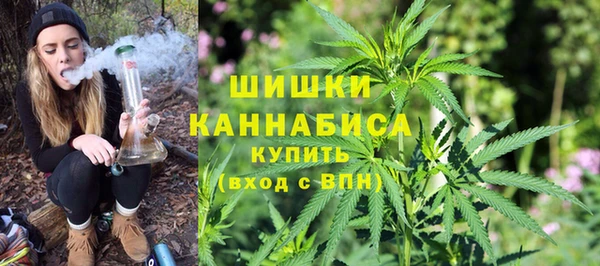 тгк Зеленодольск