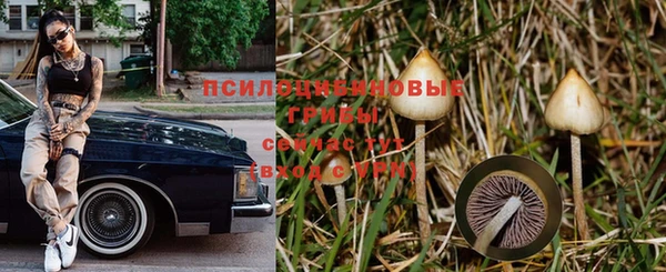 трава Зерноград
