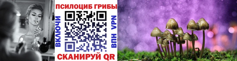 Купить где  Тарко-Сале  Галлюциногенные грибы Psilocybe 